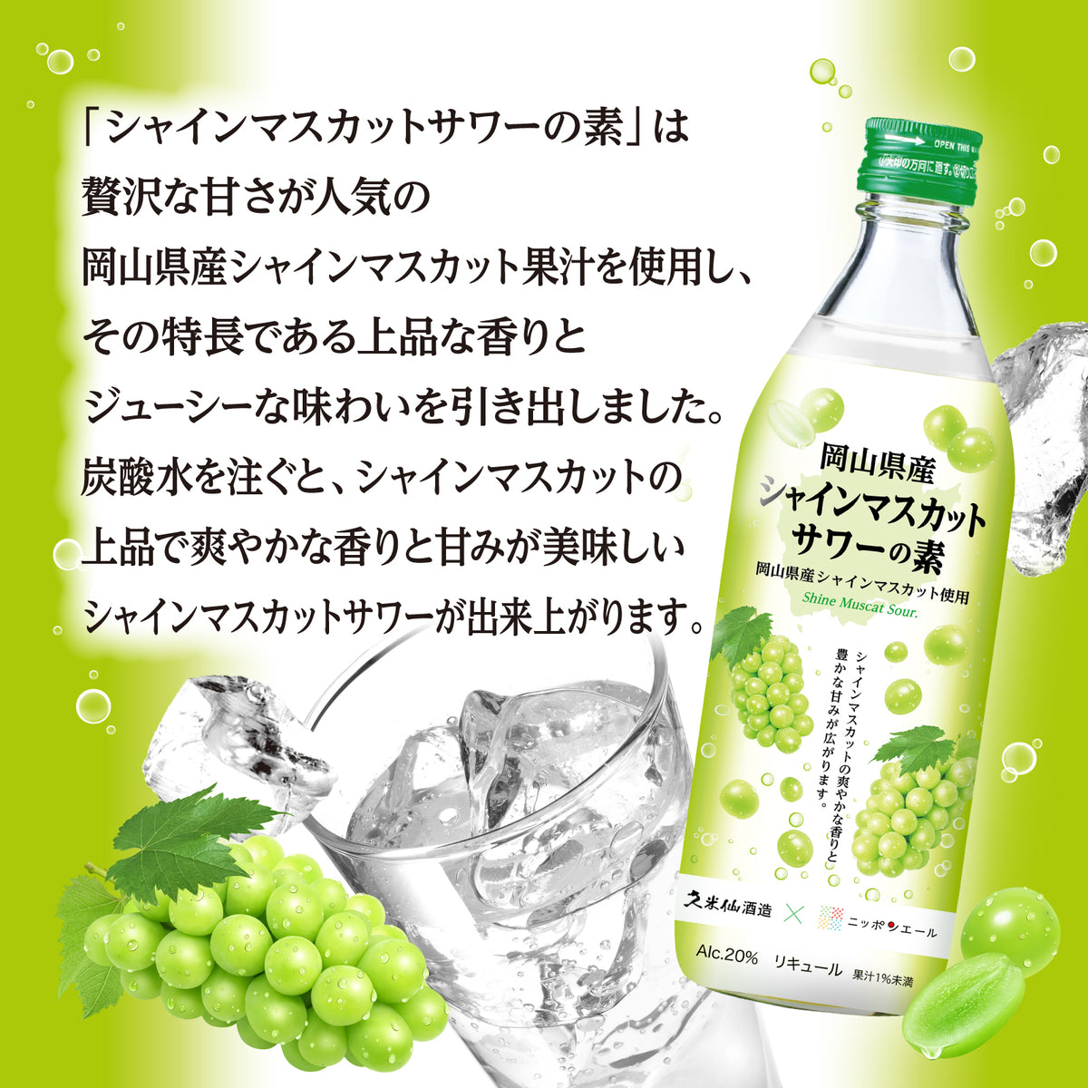 シャインマスカットサワーの素 20度 500ml – 【公式】久米仙酒造