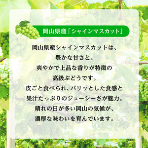 
                  
                    ギャラリービューアに画像を読み込み、シャインマスカットサワーの素 20度 500ml
                  
                