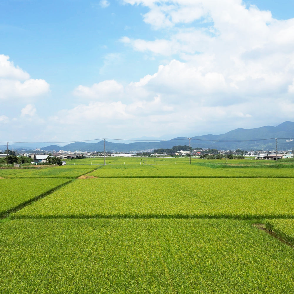 
                  
                    ギャラリービューアに画像を読み込み、湘南はるみ ジャパニーズシングルライスウイスキー 47度 700ml
                  
                
