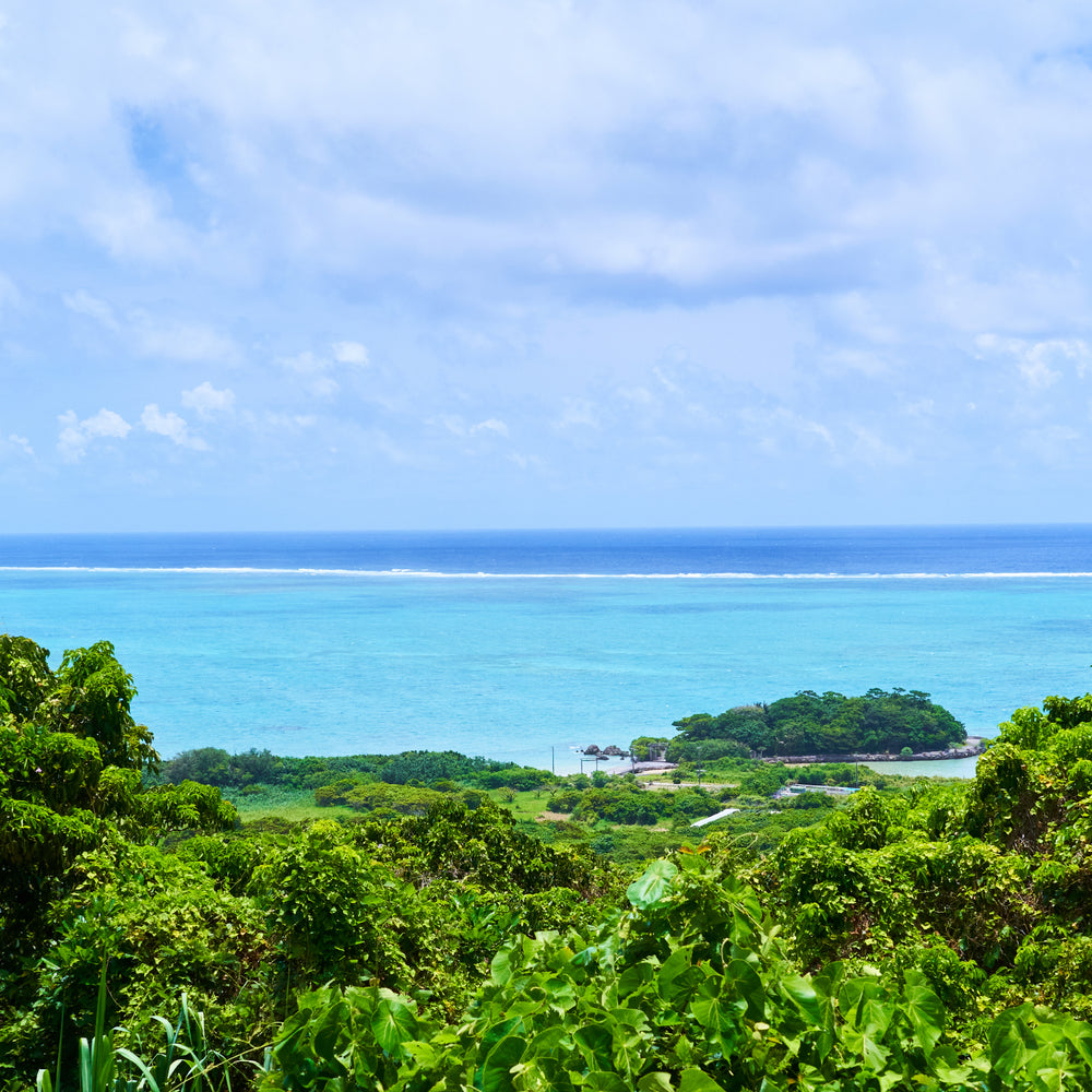 
                  
                    ギャラリービューアに画像を読み込み、湘南はるみ ジャパニーズシングルライスウイスキー 47度 700ml
                  
                