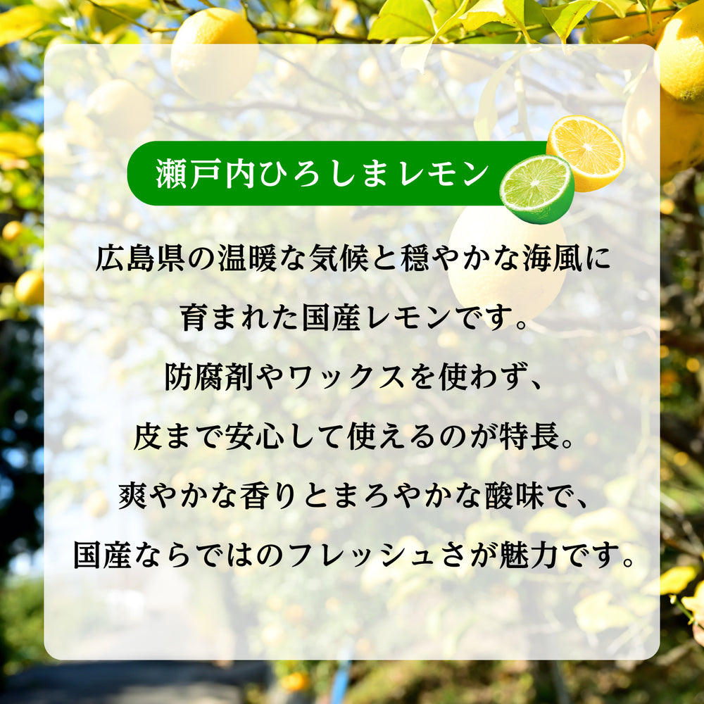 
                  
                    ギャラリービューアに画像を読み込み、Wレモンサワーの素 25度 500ml
                  
                